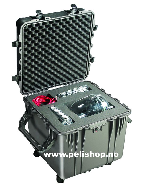 Peli 0350 Protector Case
