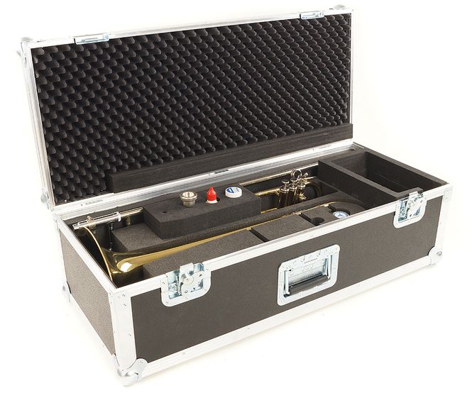 Hovedbilde Holton TR395 Superbone